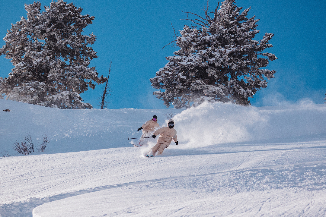 A skier and snowboarder riding powder