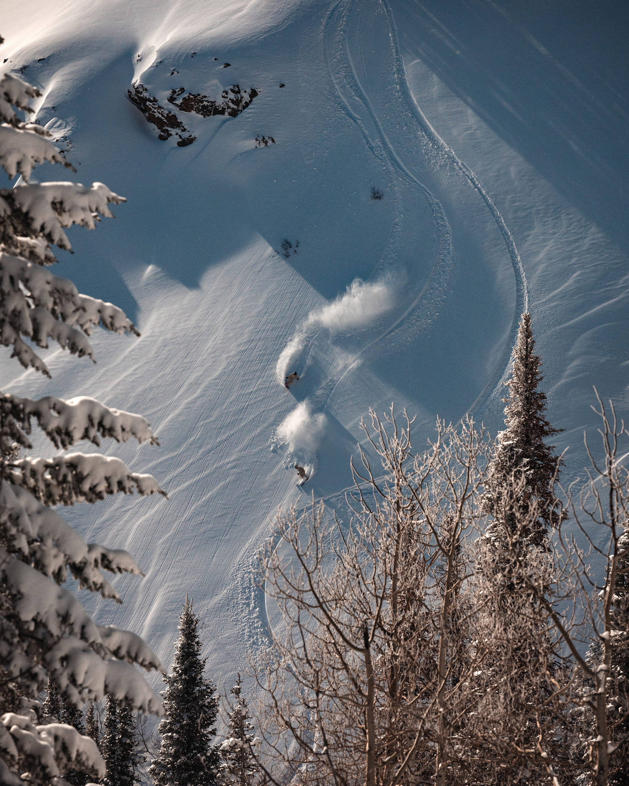 Skier and snowboarder riding powder