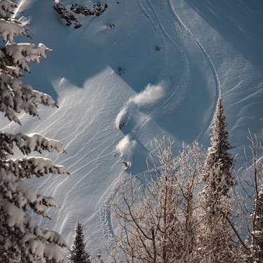 Skier and snowboarder riding powder