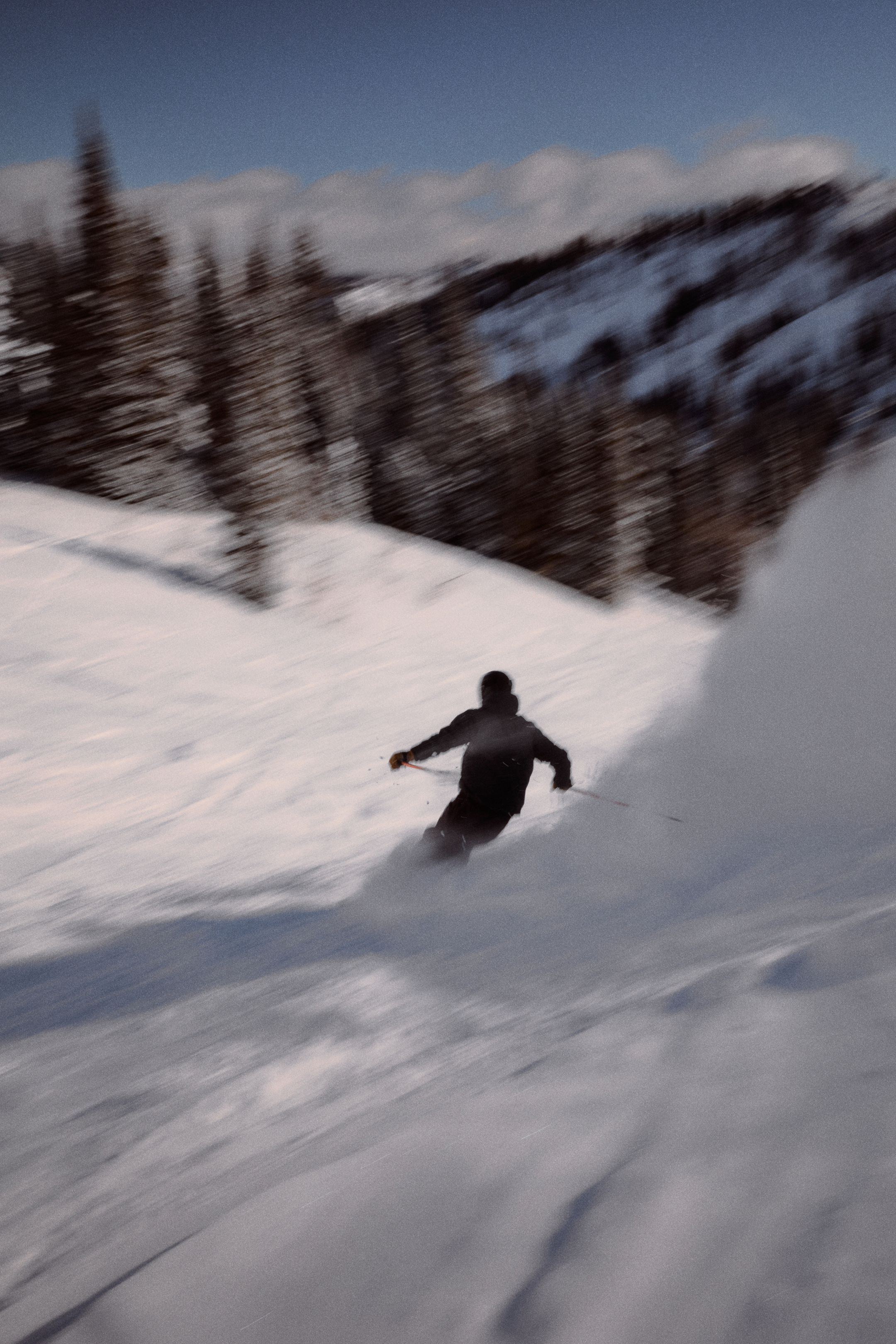 Skier skiing powder