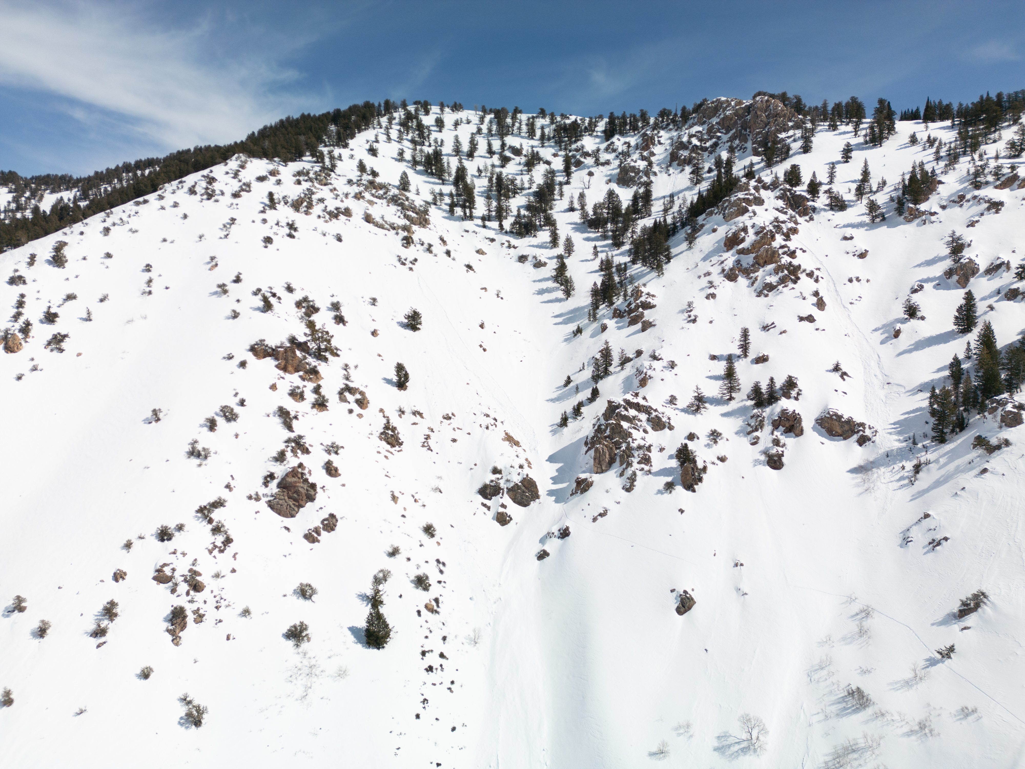 Aerial view of DMI terrain. It is very steep with some trees and rock faces. 