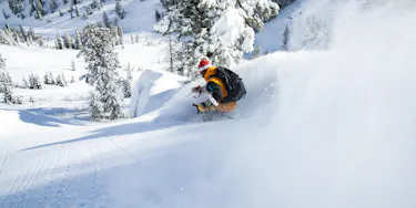 Skier knee deep in fresh snow skiing through some trees.
