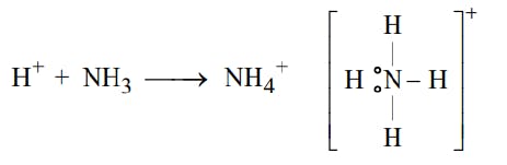 Formation of the ammonium ion (NH₄⁺)