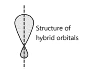 Structure of a hybrid orbital