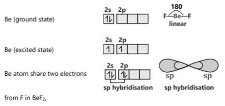 Hybridization process in BeF₂ (Beryllium fluoride)