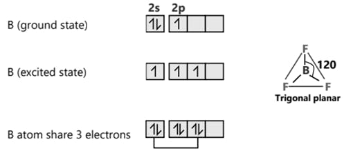 sp² hybridization process in BF₃ (Boron trifluoride)