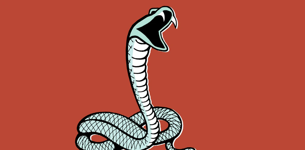 'Dhamin' Snake at Salman’s Flat: Is It Venomous?