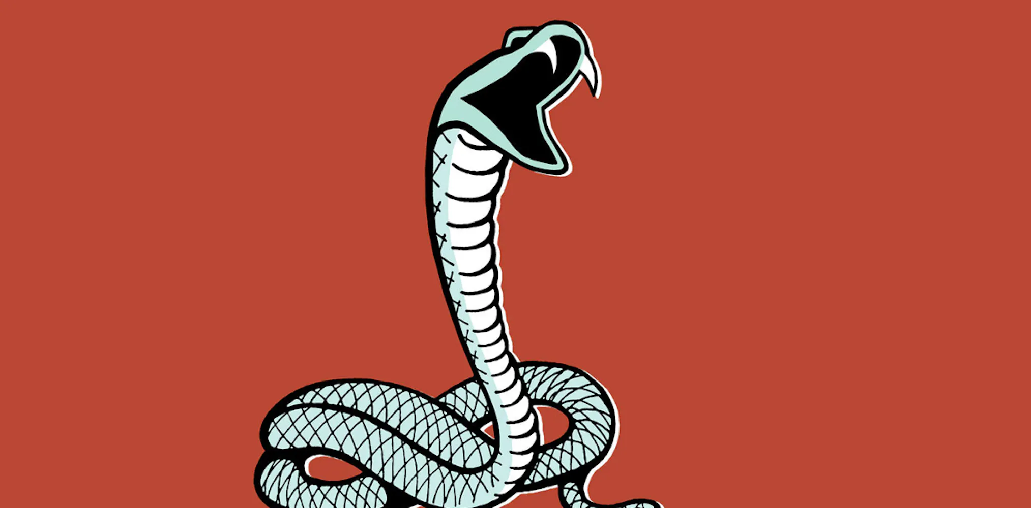 'Dhamin' Snake at Salman’s Flat: Is It Venomous?