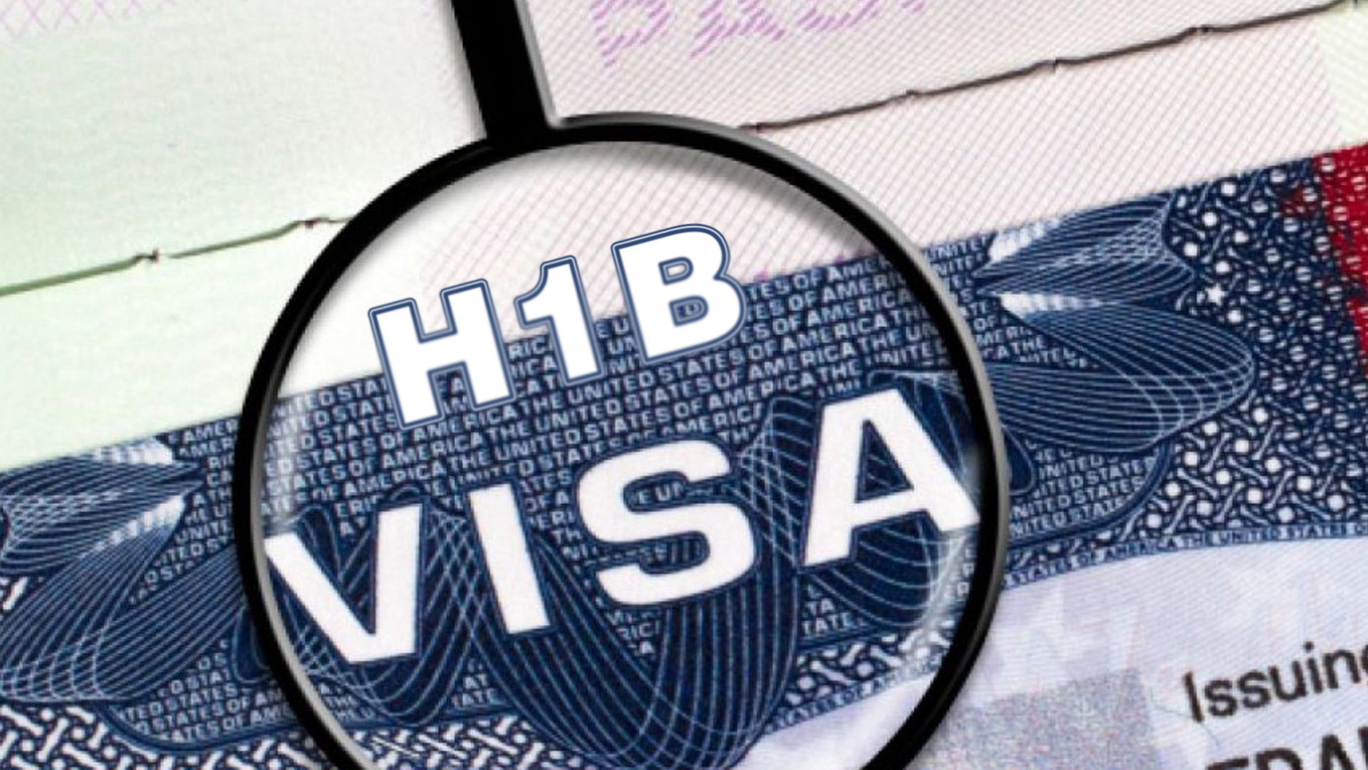 US States hail court win against H-1B fee
