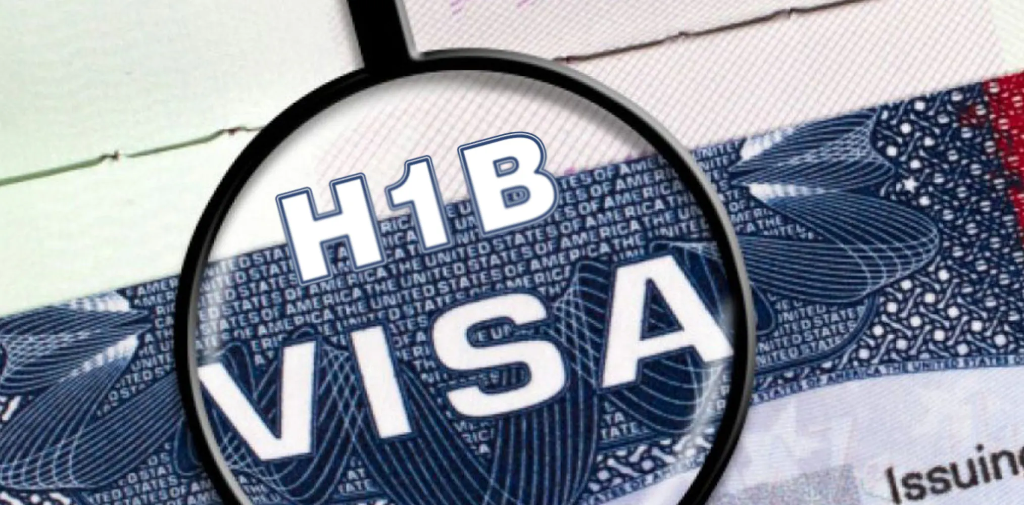 US States hail court win against H-1B fee
