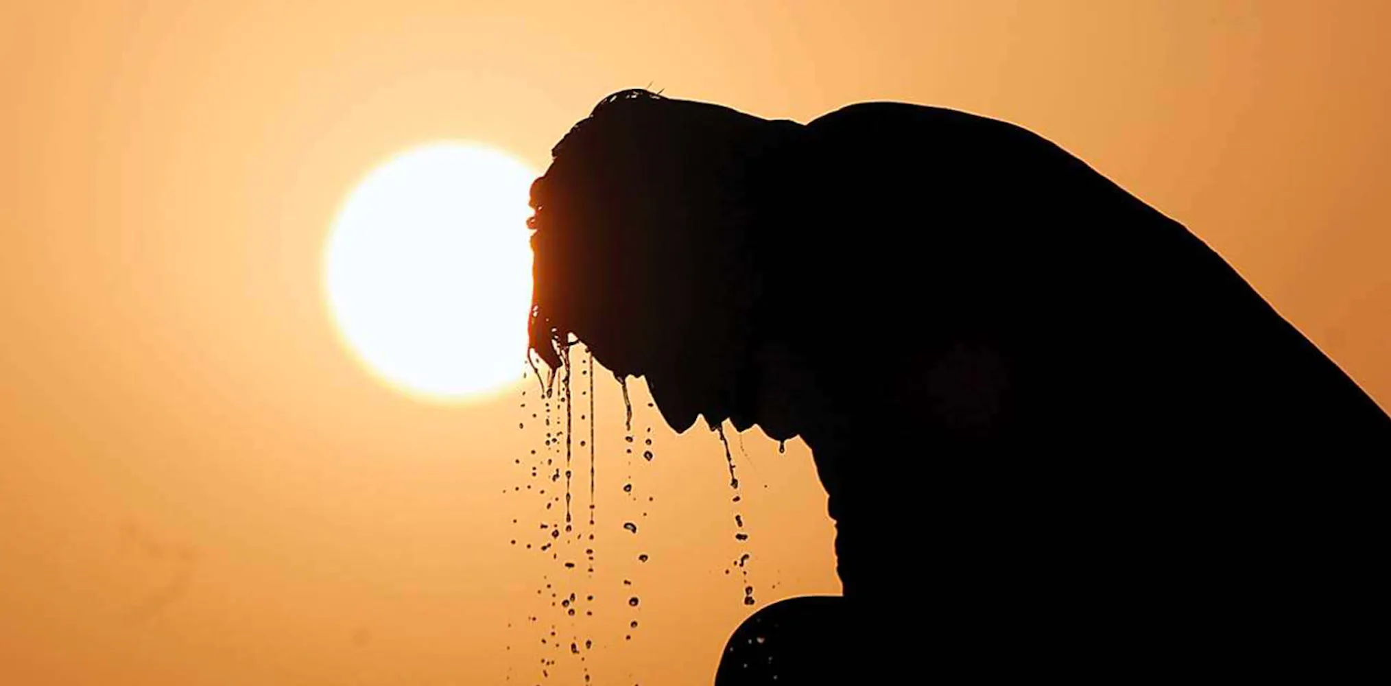 When the heat rises, so do snakebites in Kerala