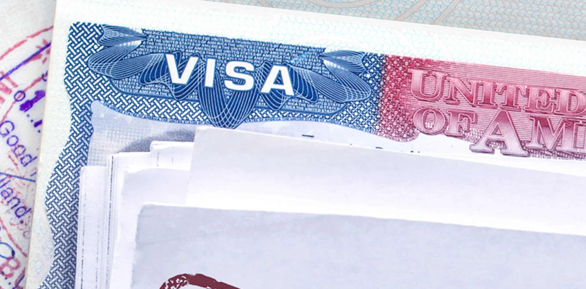 India dominates global visa programmes