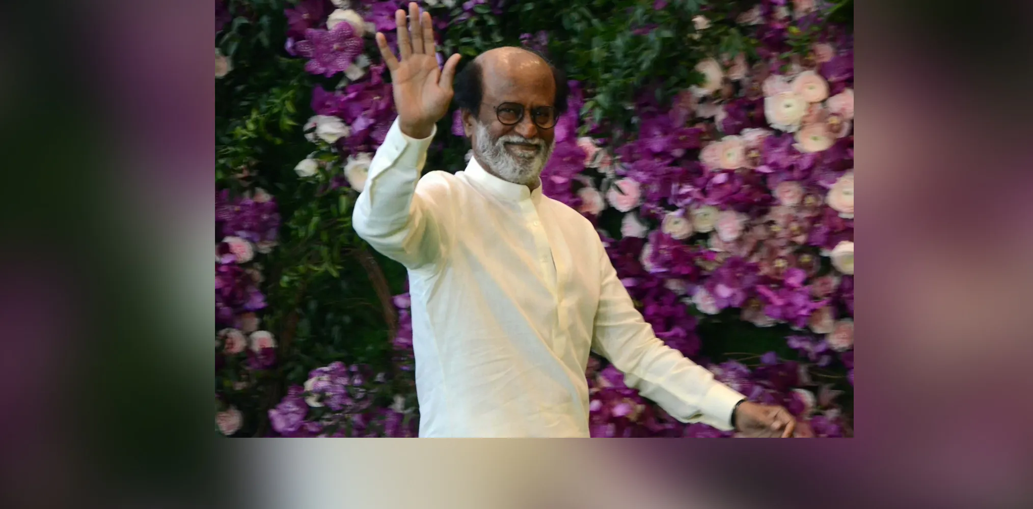 Fans are my divine force