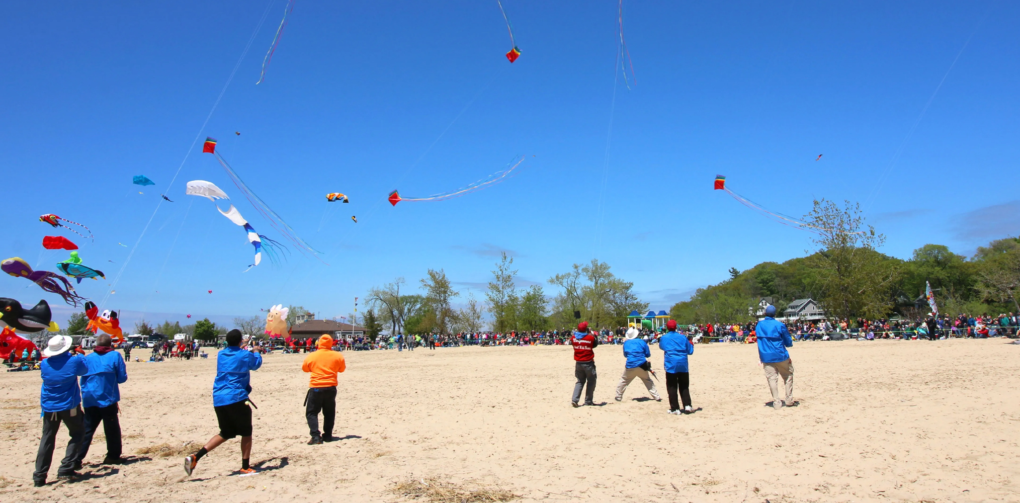 Hyd Police Seized Chinese Manja, arrested 143