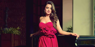 Ameesha Patel's parents' home robbed