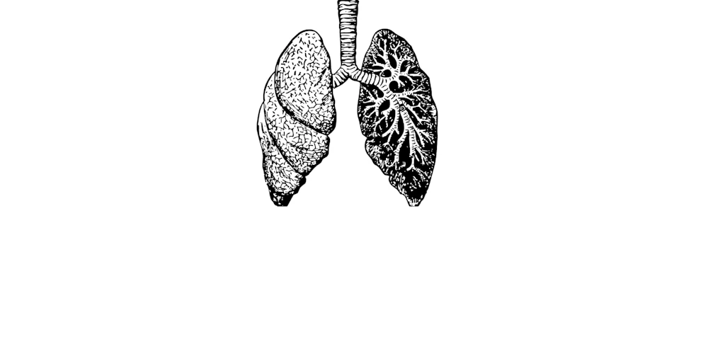 Breathing easy: Unmasking the silent crisis in lung health