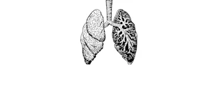 Breathing easy: Unmasking the silent crisis in lung health