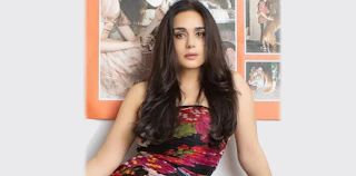 Preity Explains NRI's Indian Craving
