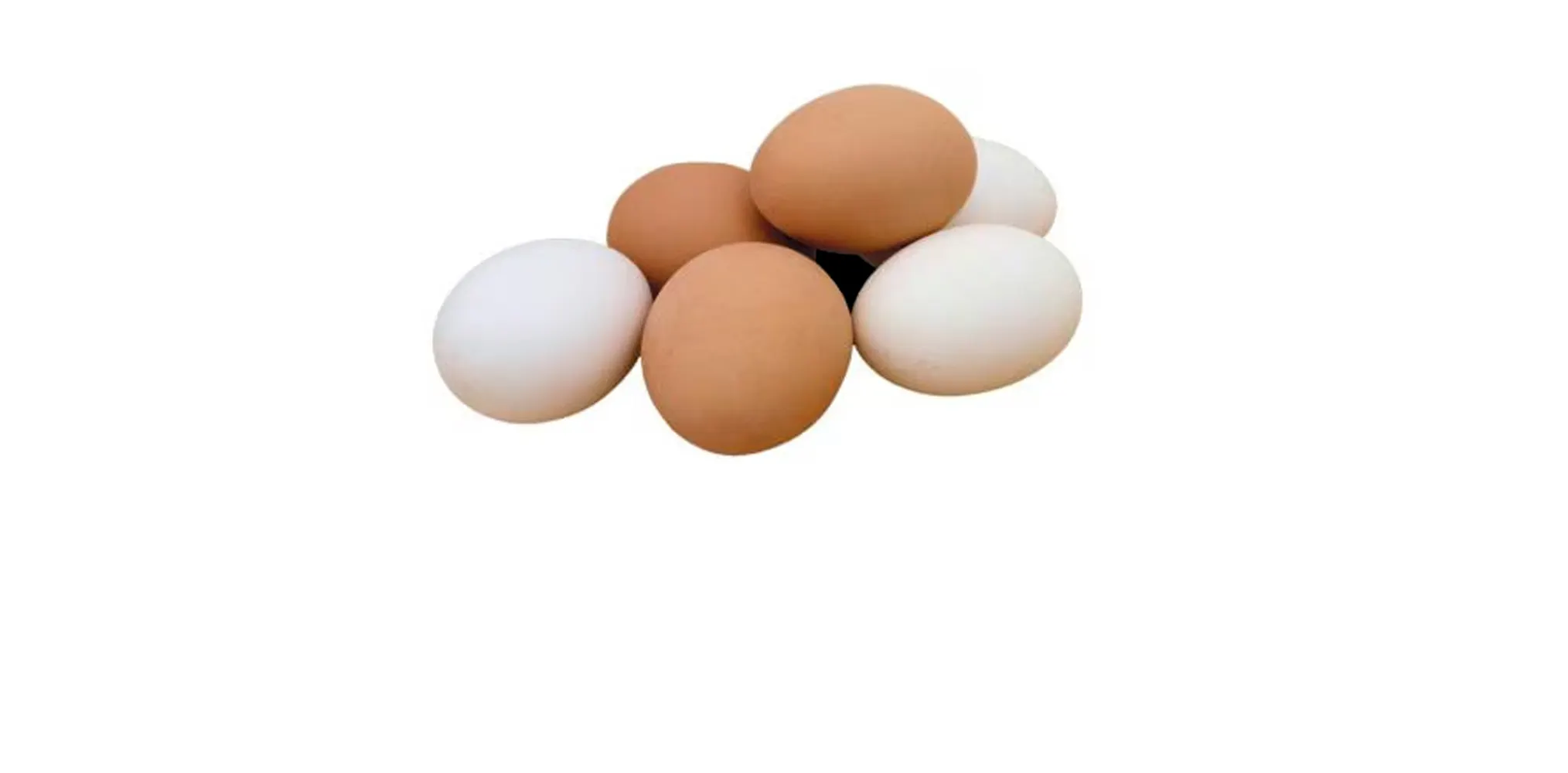 Eggs cleared: Cancer claims debunked