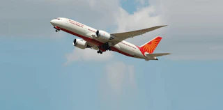 Mid-Air Turbulence Shock AI Flight