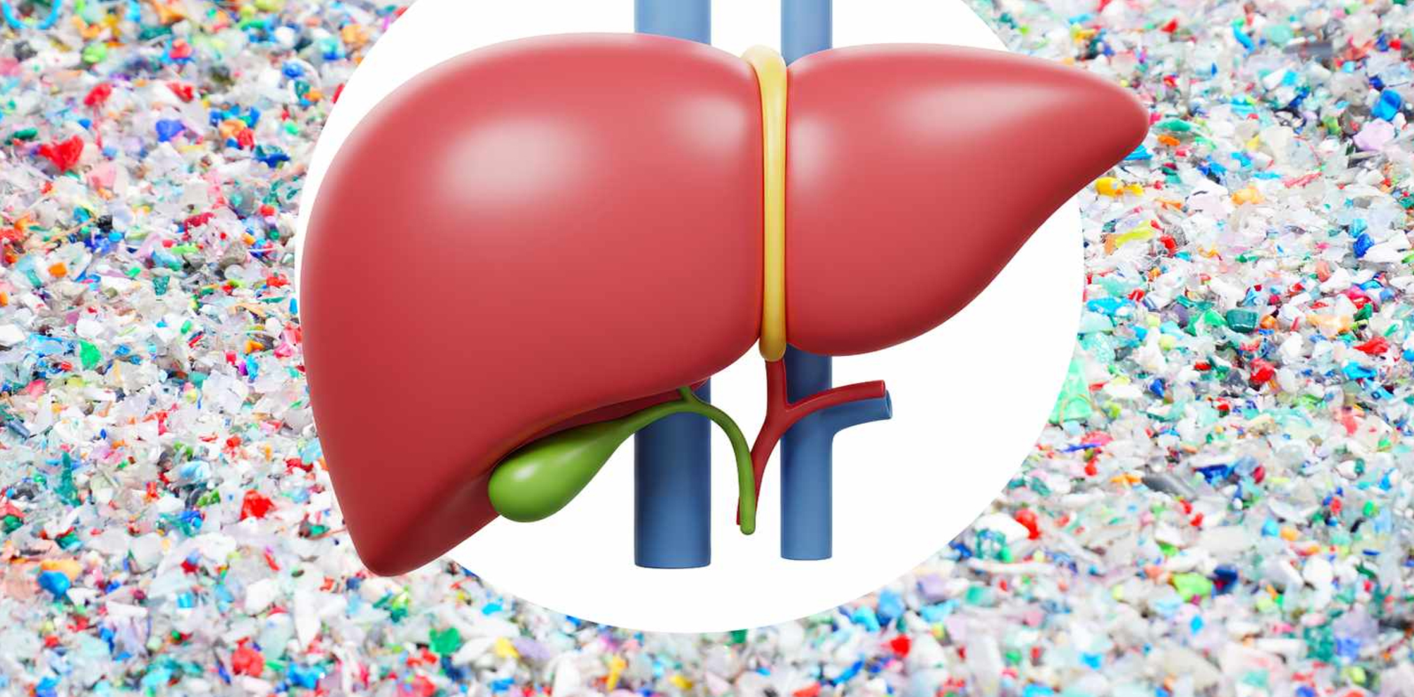 Plastic particles may trigger liver disease risk