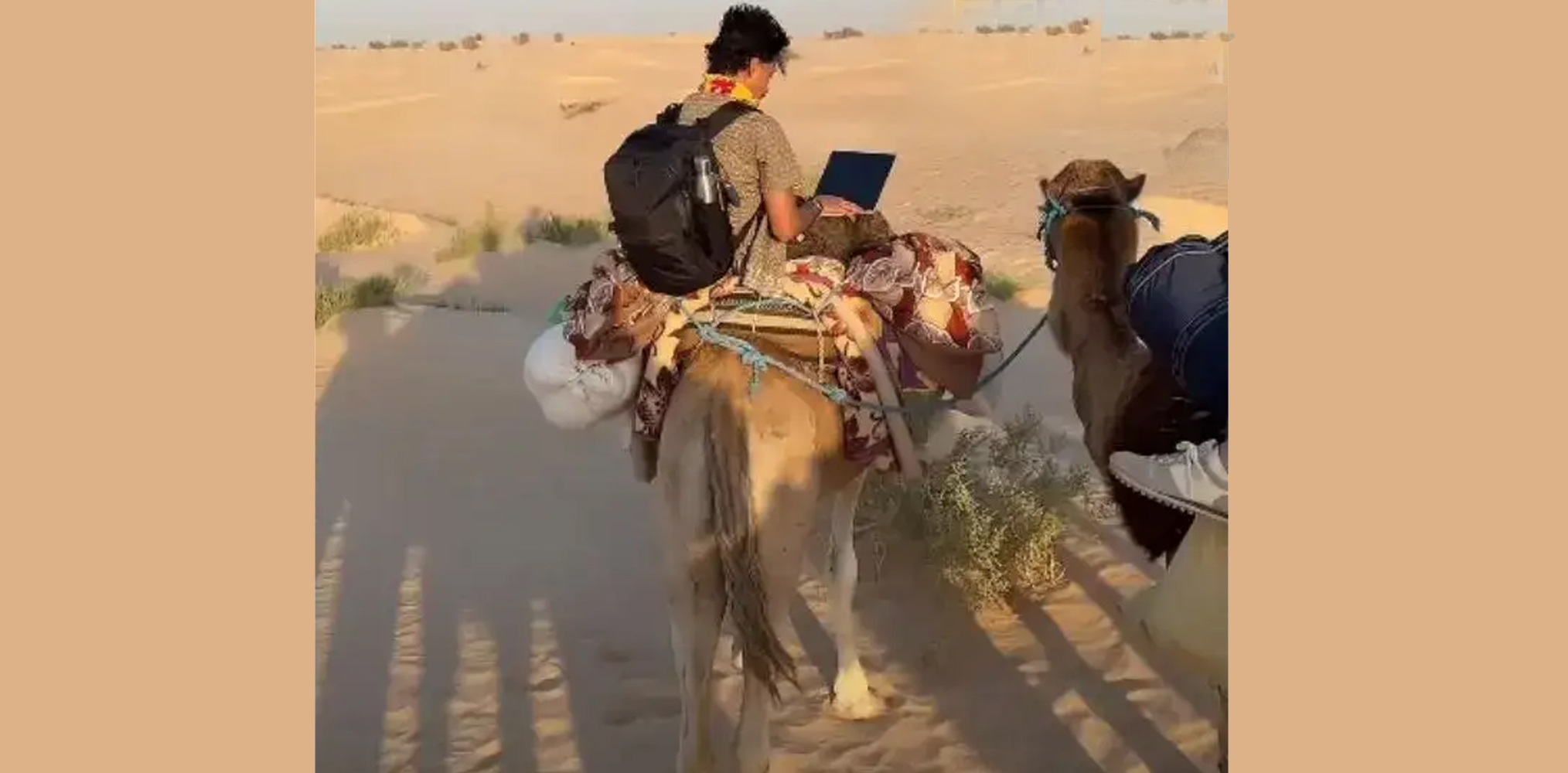 Sahara Desert Surprise: 'Work From Camel'