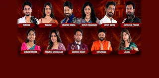 Week 2 Voting Turns Hot in BB Telugu 10