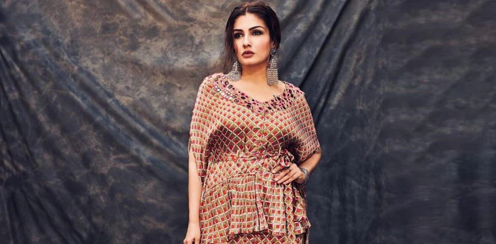 Raveena on insecurities in career