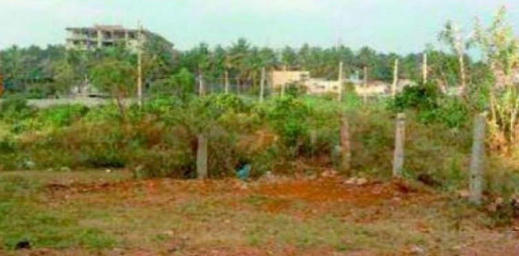 Non-tribals grab 20,000 tribal acres in TG