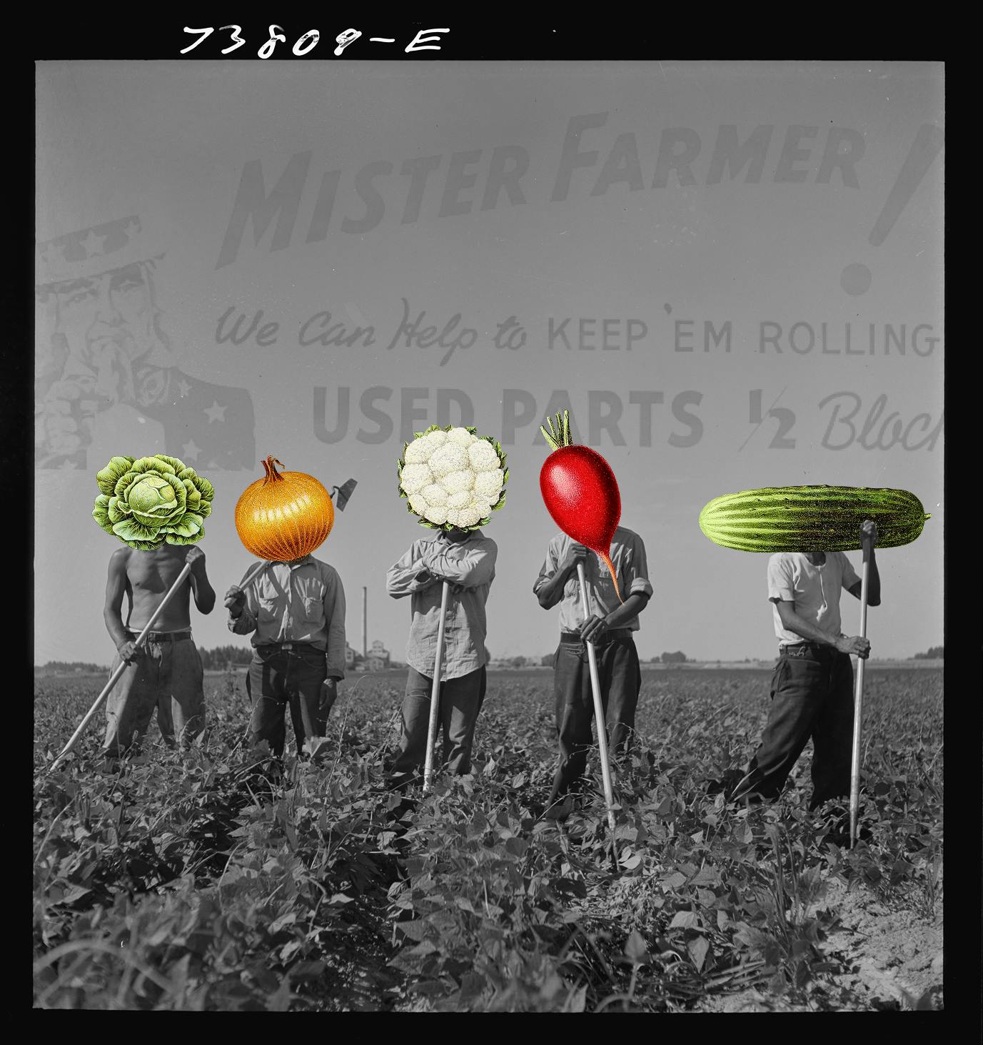 Collage showing farmers with veggies in place of their heads