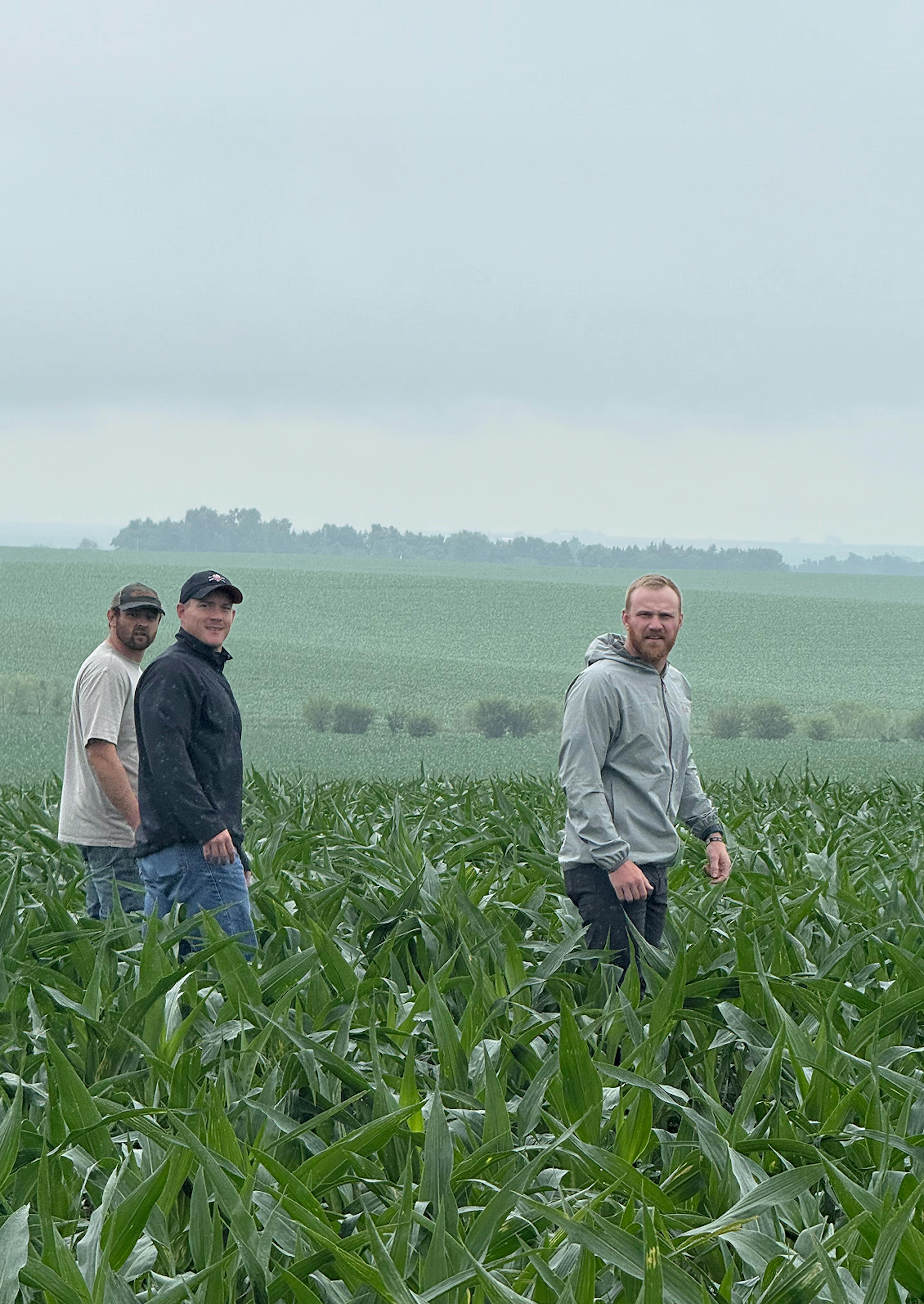 Walking in the fields