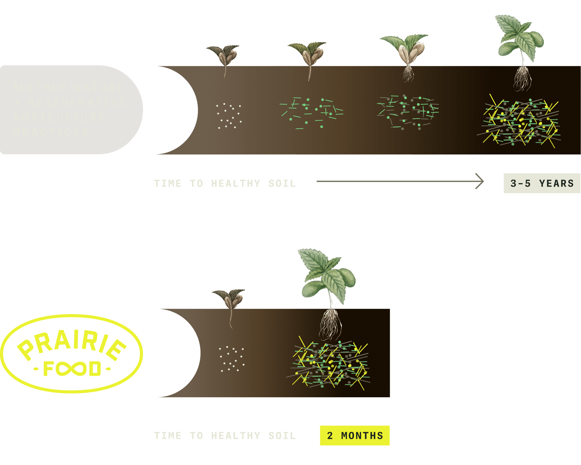 Infographic showing PrairieFood revitalizing soil within 2 months rather than 3-5 years like other regenerative agriculture practices