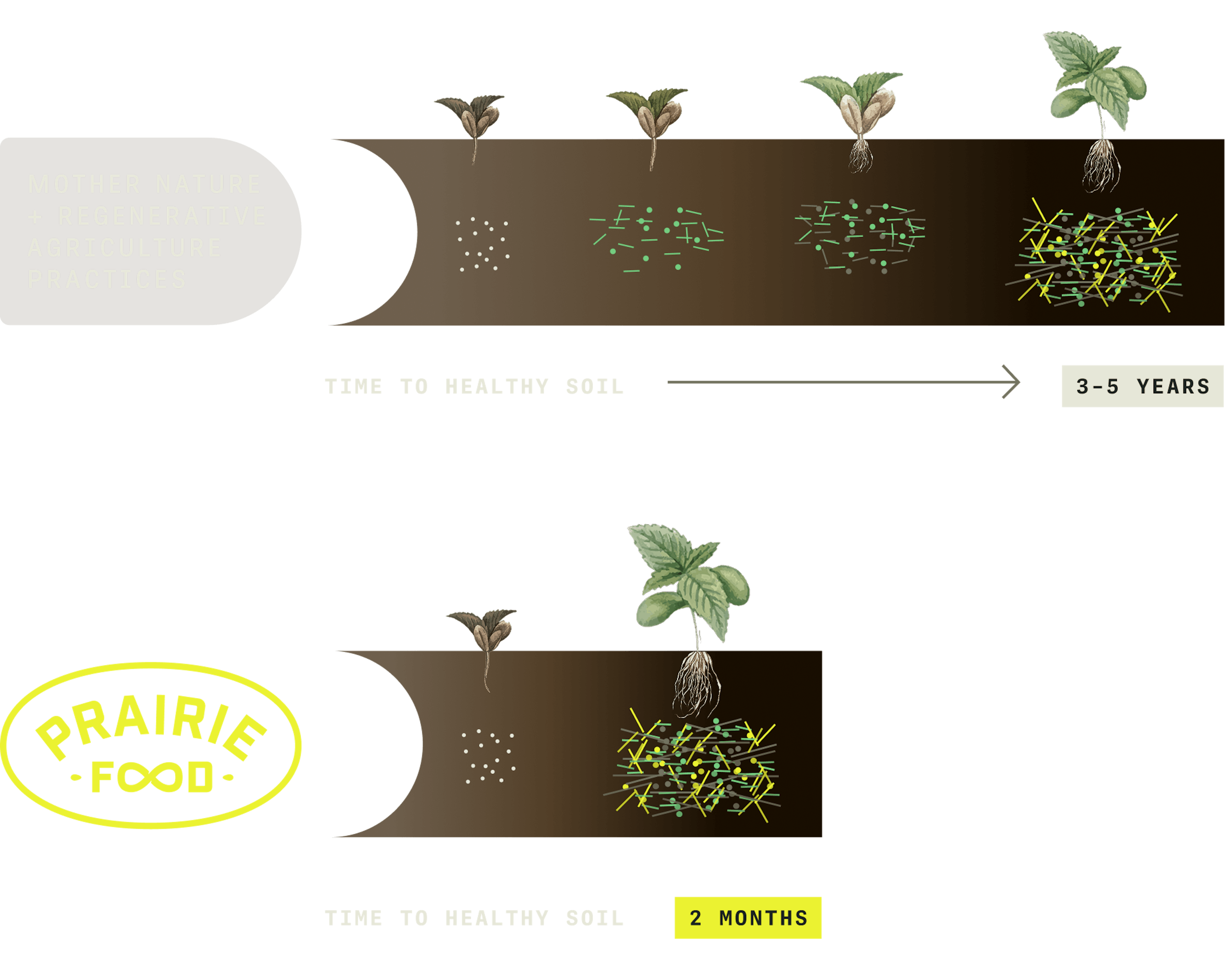 Infographic showing PrairieFood revitalizing soil within 2 months rather than 3-5 years like other regenerative agriculture practices
