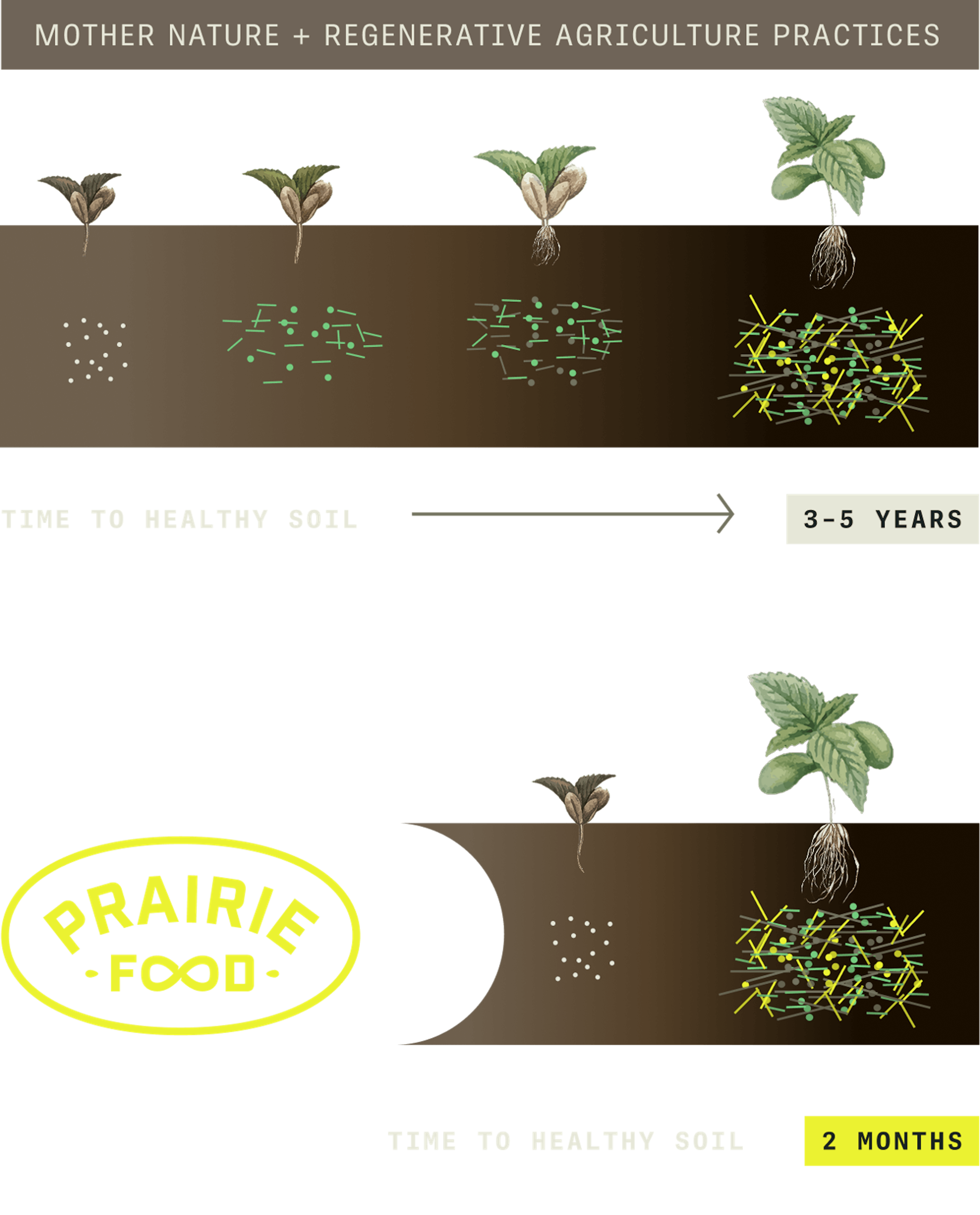 Infographic showing PrairieFood revitalizing soil within 2 months rather than 3-5 years like other regenerative agriculture practices