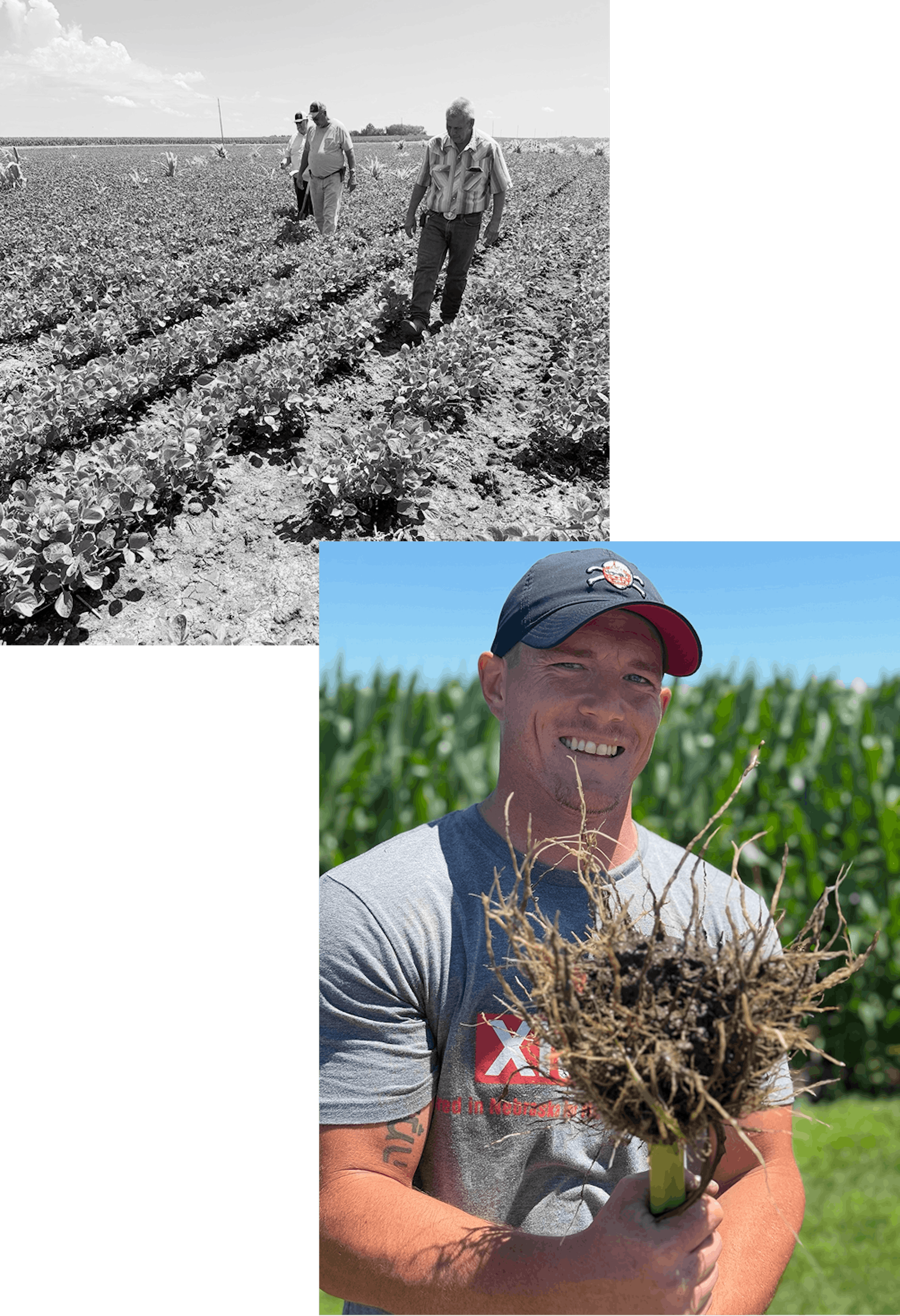 Men in field and man holding plant