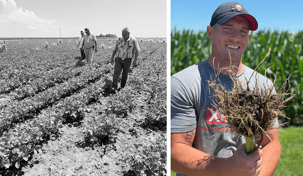 Men in field and man holding plant