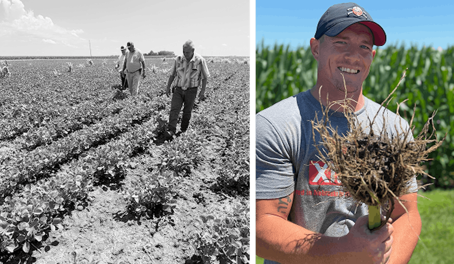 Men in field and man holding plant