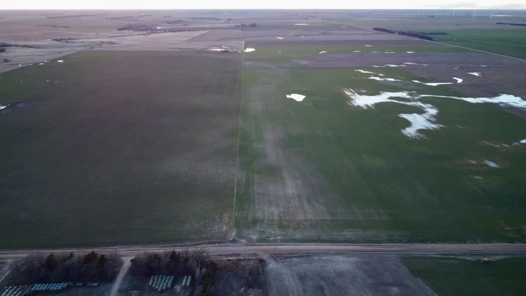 Field showing 2 year PrairieFood Slurry and no PF Slurry