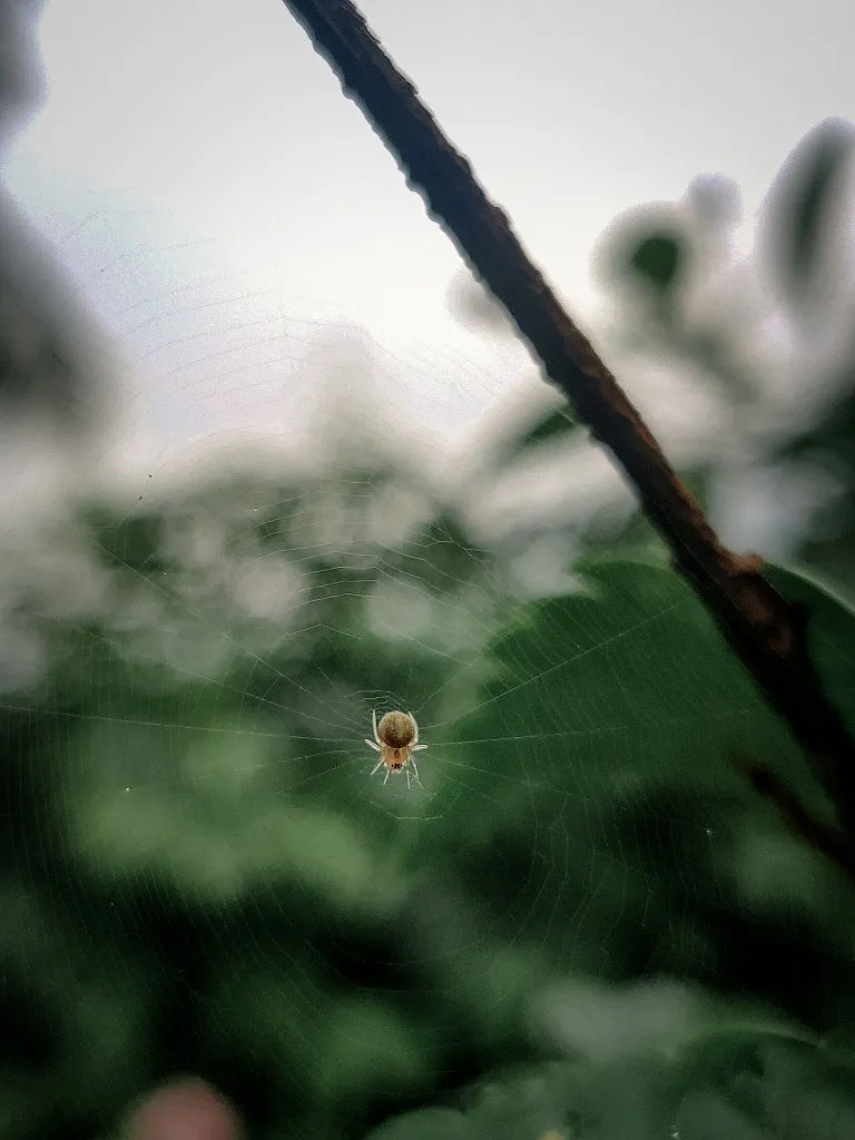 Travel photograph