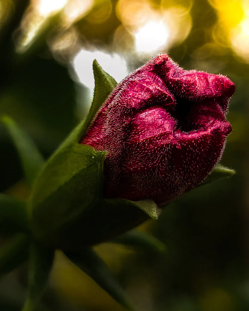 Travel photograph