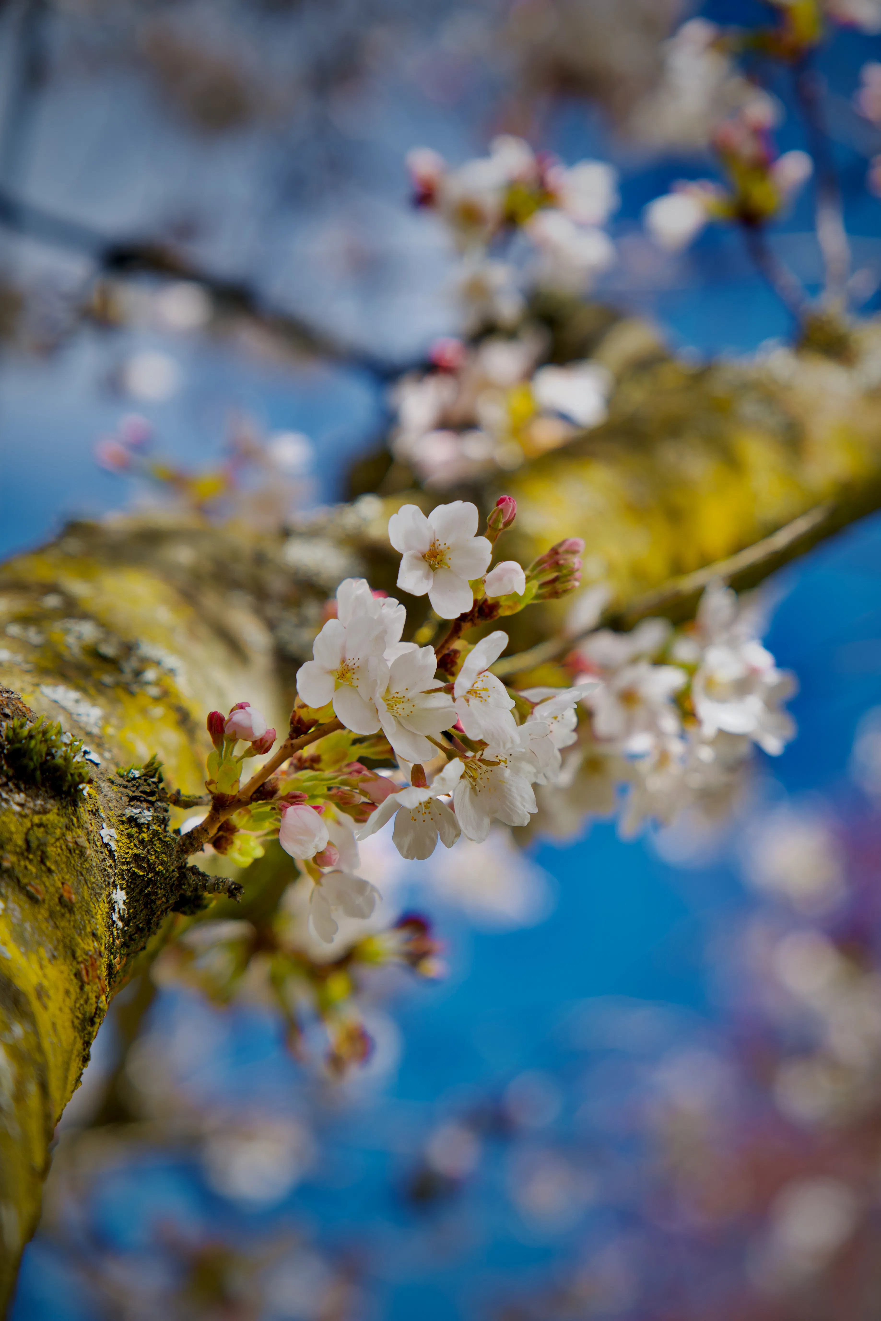 Travel photograph