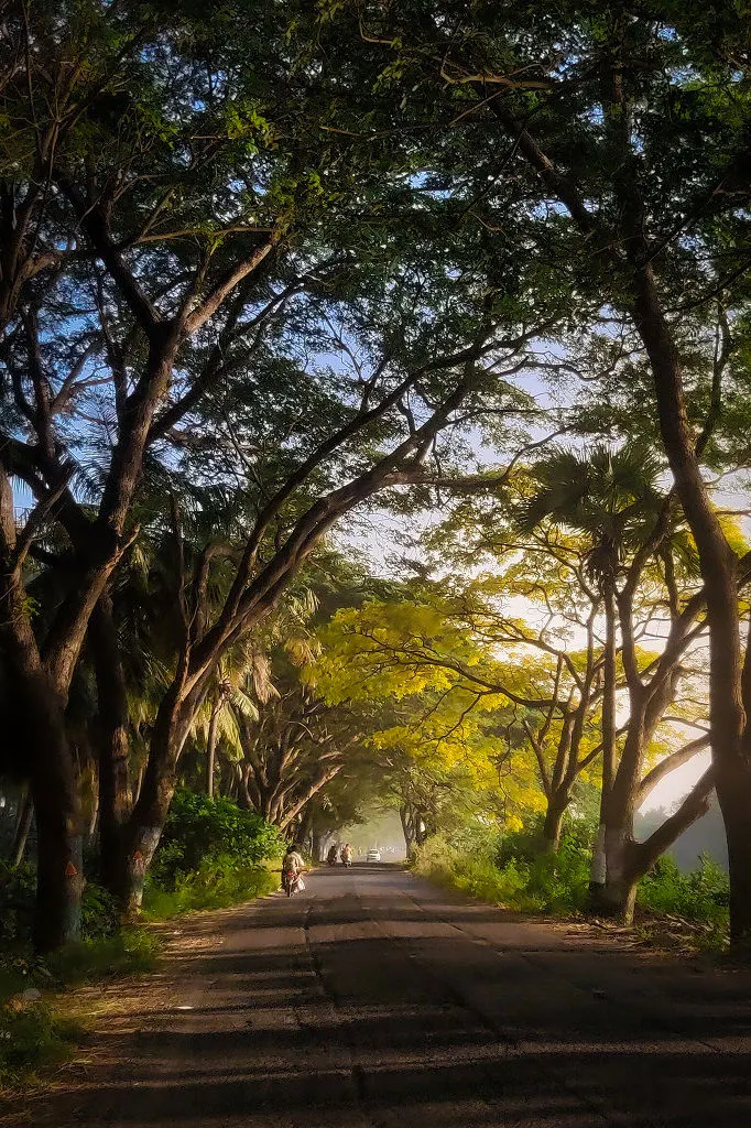 Travel photograph