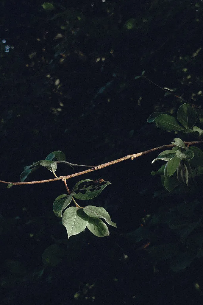 Travel photograph