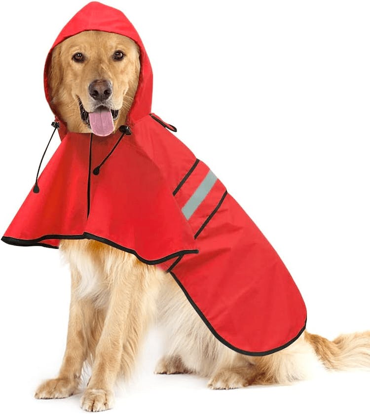 raincoat for dogs