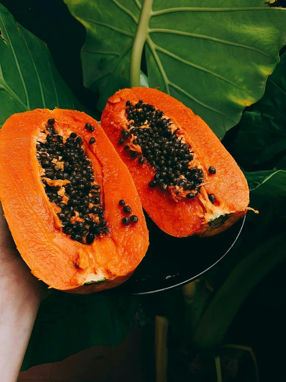 papaya