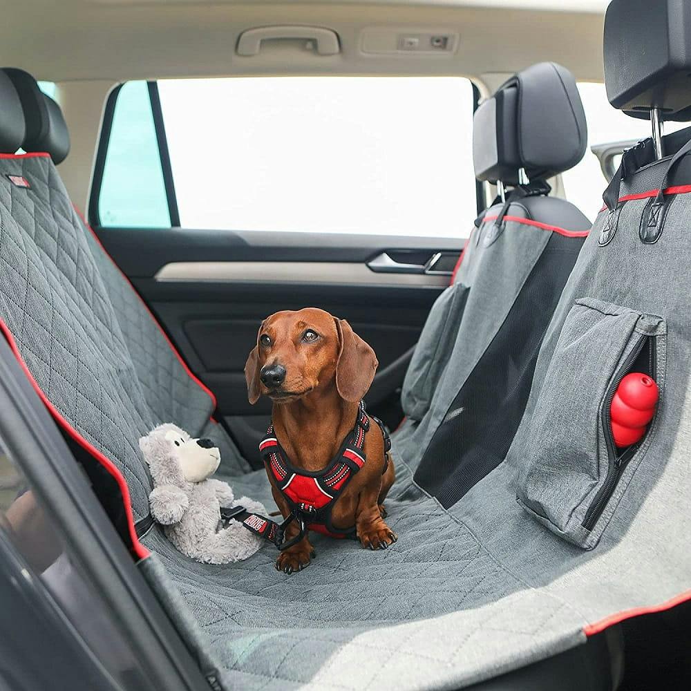 kong dog car seat
