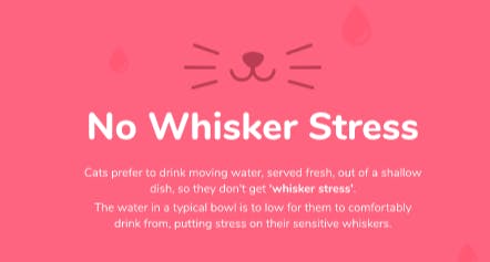 Whisker Stress-free Design