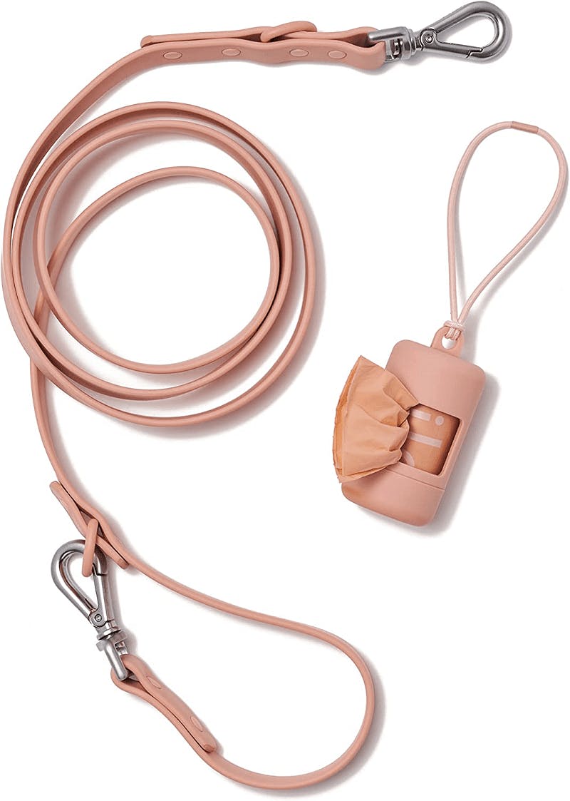 10 Best Waterproof Dog Leashes in 2023