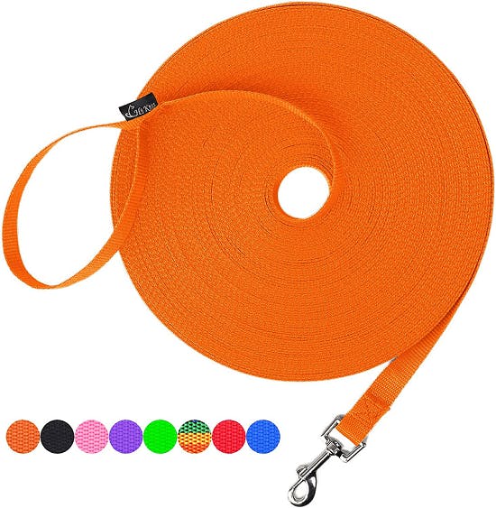 10 Best Waterproof Dog Leashes in 2023