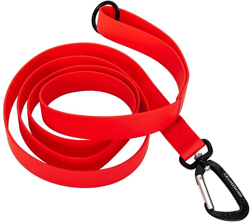 10 Best Waterproof Dog Leashes in 2023